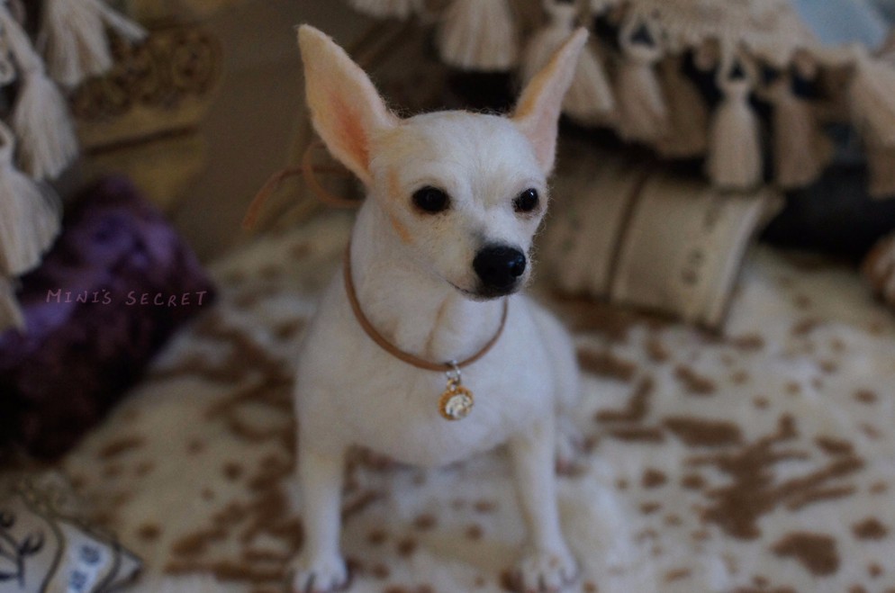 MINI'S SECRET〜ウールの非常にリアルなシミュレーションが刻まれたペットの犬を感じた（チワワドッグショー）