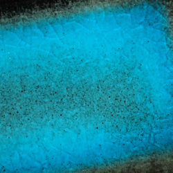 青の洞窟  鮎皿 5枚目の画像