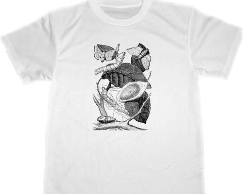 【激レア】killie HIHA蝶蛾 バンドTシャツ 激レア】killie HIHA蝶蛾 バンドTシャツ