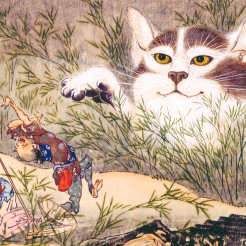 化け猫 ドライ Tシャツ 河鍋暁斎 猫 ネコ 妖怪 浮世絵 UKIYOE グッズ T