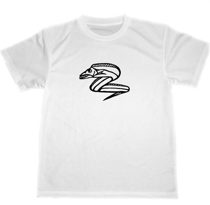 Ｔシャツ ホワイト2枚 釣り 魚　石鯛　バックプリント　ドライ　ブラック2枚