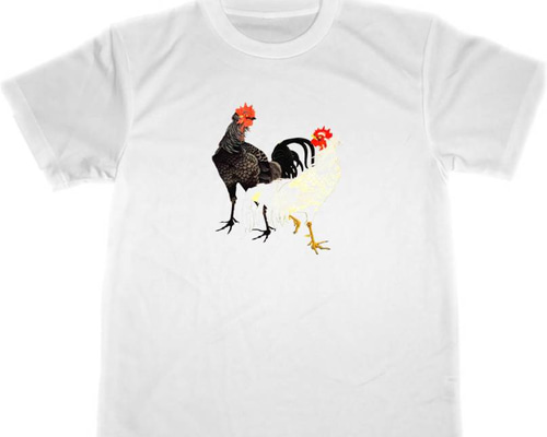 ニワトリ Amazon.co.jp: ちかくにあるいのち図鑑 ニワトリ : バルバラ•サンドリ