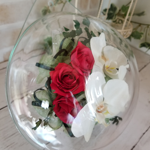 ボトルフラワー 胡蝶蘭 ドライフラワー Flower 笑顔 通販 7993321