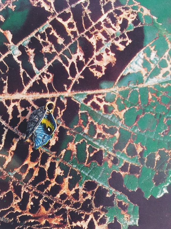 手繪墜子 - 枯葉蝶 / kallima inachus / コノハチョウ 第1張的照片