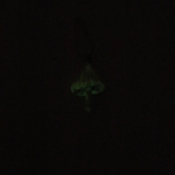 手描きピン - ルミナスベルベット / Mycena chlorophos / 光るキノコ 2枚目の画像