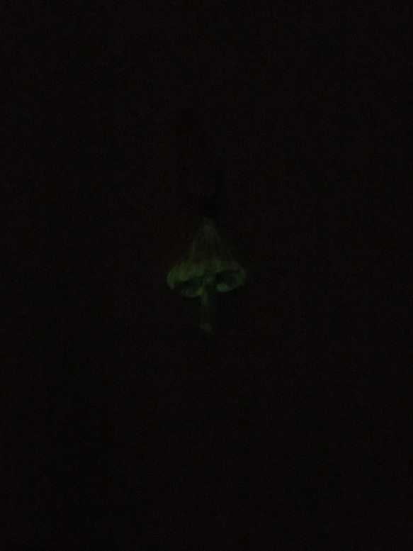 手繪別針 - 夜光茸 / Mycena chlorophos / 光るキノコ 第2張的照片
