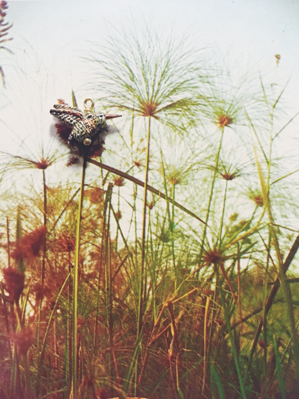 手描きペンダント - サンドパイパー / Scolopaxrusticola / ヤマシギ 3枚目の画像