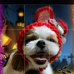 犬帽子 受注製作 2枚目の画像