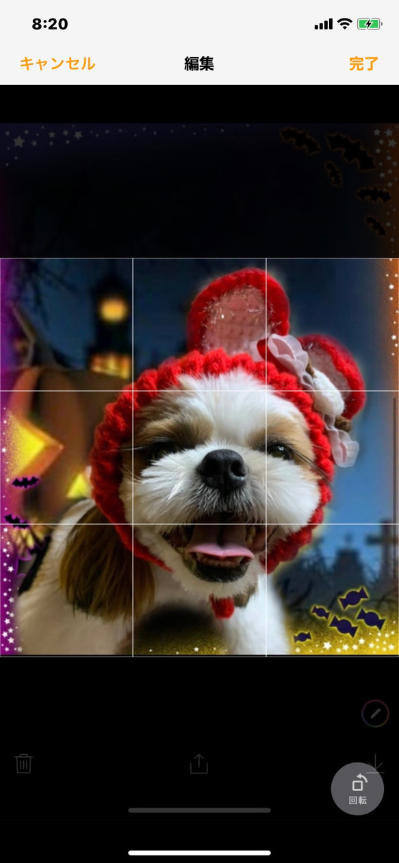 犬帽子 受注製作 2枚目の画像