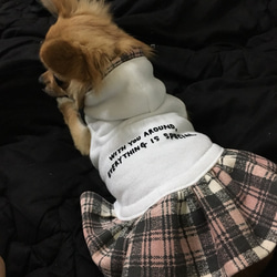 【再販】犬服 ピンクチェック柄裏毛パーカーワンピース 3枚目の画像