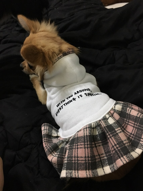 【再販】犬服 ピンクチェック柄裏毛パーカーワンピース 3枚目の画像