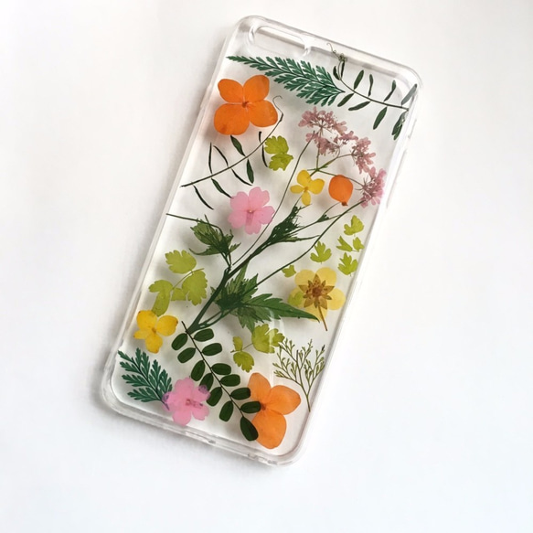 夏秋之際::押花手做IPHONE手機殼pressed flower phonecase 第2張的照片