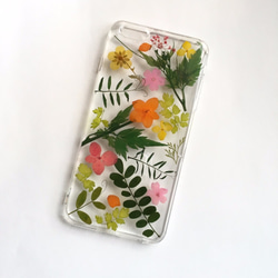 夏秋之際::押花手做IPHONE手機殼pressed flower phonecase 第3張的照片