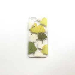 雲朵青青: 真花壓花手機殼pressed flower phonecase 第1張的照片