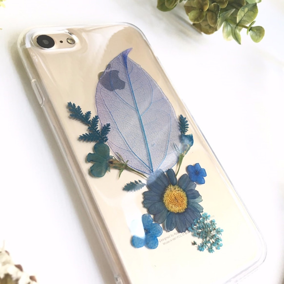 青の青::葉脈の花の電話殻 2枚目の画像