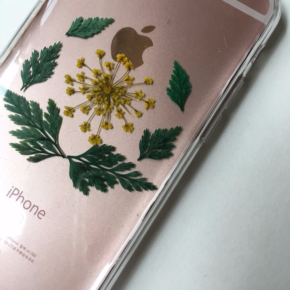 自由徽章:: 乾燥花押花手機iPhone 11 Note10+ 第3張的照片