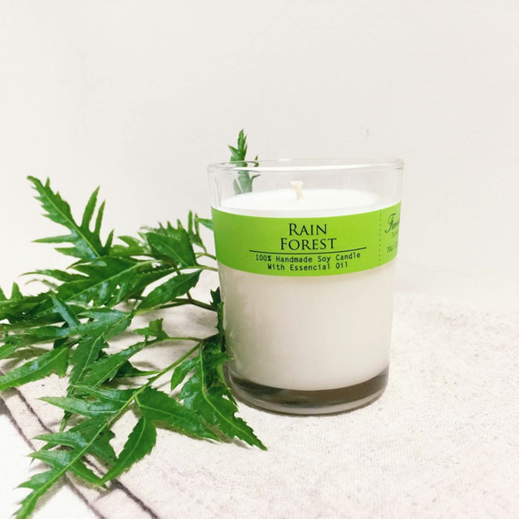 雨後叢林 大豆蠟燭(小) Rain Forest Soy Candle 第1張的照片