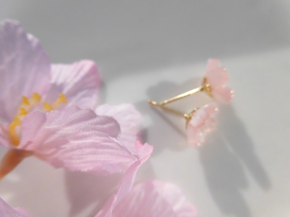 再販【弁天堂】[私も好きだよ、さくら」（サージカルステンレス）小さな桜のスタッドピアス 3枚目の画像