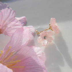 再販【弁天堂】[私も好きだよ、さくら」（サージカルステンレス）小さな桜のスタッドピアス 8枚目の画像