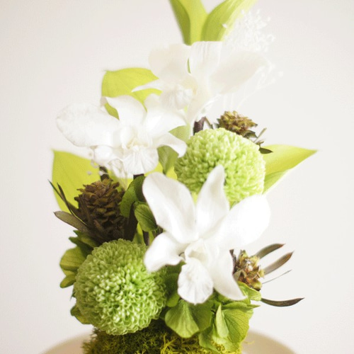 仏花】 ガラスドーム入り デンファレとマム 全てプリザーブド