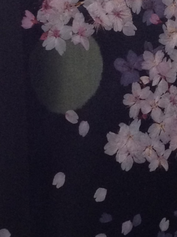 月と桜　(押し花アート) 5枚目の画像