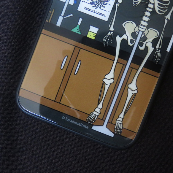 科学実験用携帯電話ケース/頭蓋骨標本 5枚目の画像