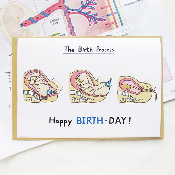 真正的生日卡 連信封 / 生物學 婦產科 分娩 第1張的照片