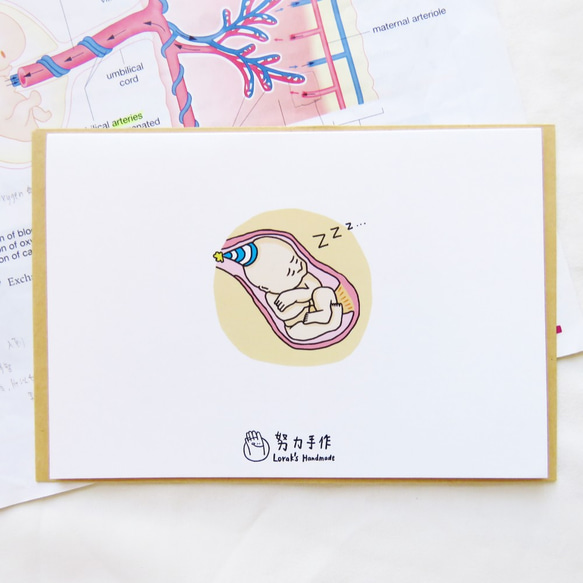 真正的生日卡 連信封 / 生物學 婦產科 分娩 第4張的照片