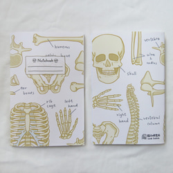 骨のノートのメモ帳/医師看護師の科学生が不可欠 2枚目の画像