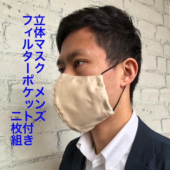 C 【送料無料】❤️立体マスク 紳士用 2枚組 大きめ フィルターポケット付 布マスク メンズ 1枚目の画像