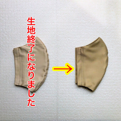 C 【送料無料】❤️立体マスク 紳士用 2枚組 大きめ フィルターポケット付 布マスク メンズ 2枚目の画像