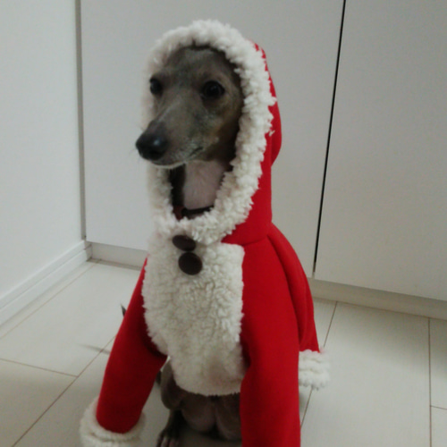 イタグレ(イタリアングレーハウンド)用☆クリスマスパ－カ ペット服
