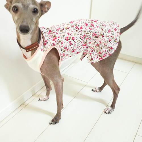 イタグレ（イタリアングレーハウンド）用 ガーリータンクトップ 花柄