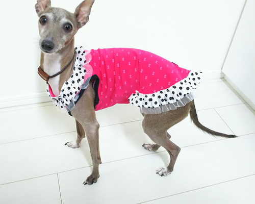 イタグレ（イタリアングレーハウンド）用 ガーリータンクトップ S