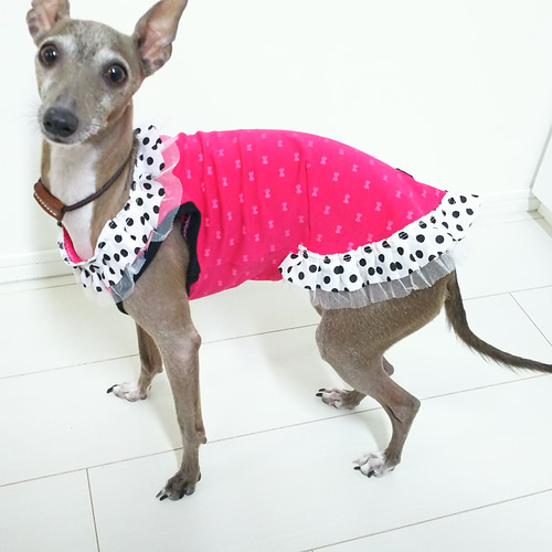 イタグレ（イタリアングレーハウンド）用 ガーリータンクトップ S