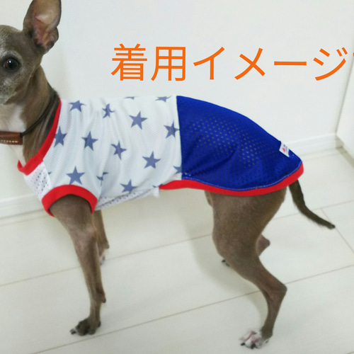 イタグレ（イタリアングレーハウンド）用 COOL！3種クールタンク