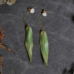 皮革竹葉耳環 第2張的照片