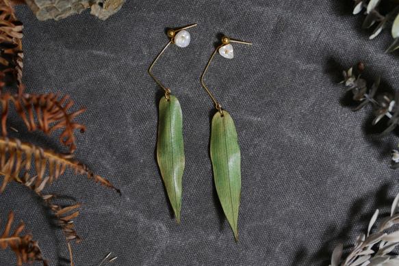 皮革竹葉耳環 第2張的照片