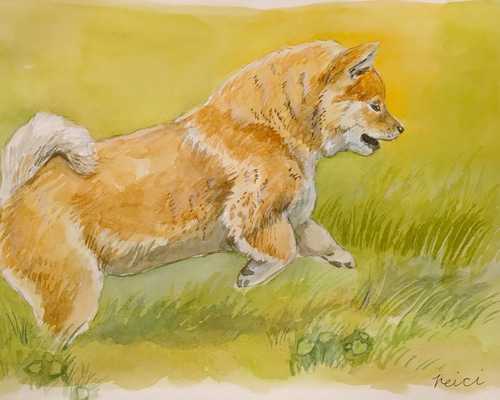 油絵　専用　穏やかなお利口さんの柴犬　見本 油絵 専用 穏やかなお利口さんの柴犬 見本 - メルカリ