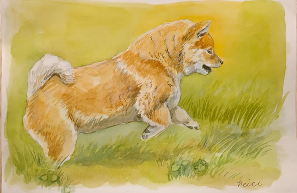 可愛いしば犬をモデルにしたリアルな肖像画⭐︎油絵風アート作品 model : ai @cyacoboss_ai * * shibainu 2024秋の鉛筆画展モデル