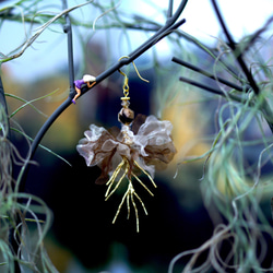 Furiosa | 茶色 花びら イアリング 手作り ゼブラストーン handmade flower earring 3枚目の画像