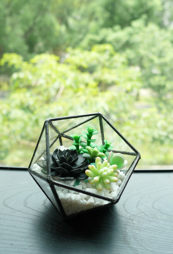 Prism Greenhouse Succulents 2枚目の画像