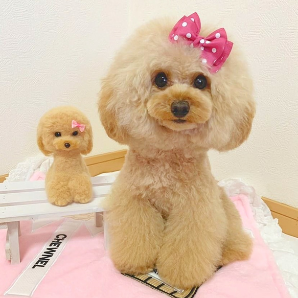 うちのこ風 羊毛フェルト 人形 ［15～20cm］ペットちゃん オーダー 