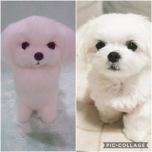 うちのこ風 羊毛フェルト 人形 ［15～20cm］ペットちゃん オーダー 