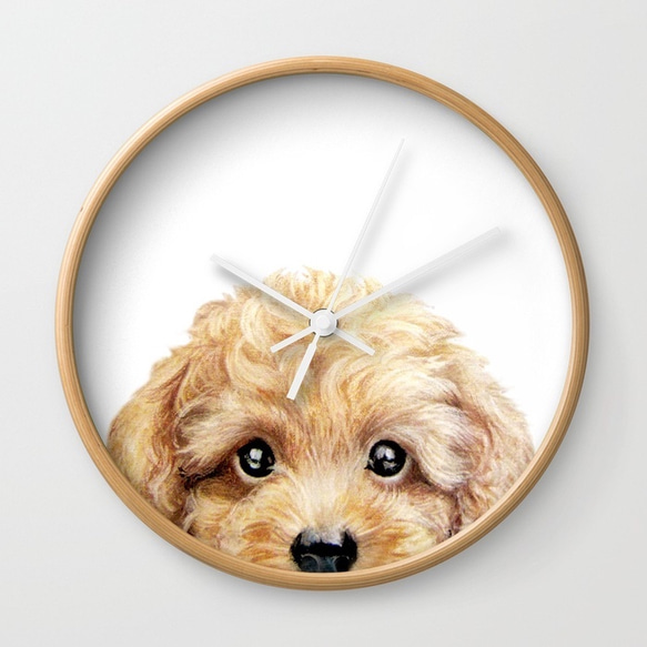 玩具獅子狗米黃壁鐘時鐘原始的例證 第1張的照片