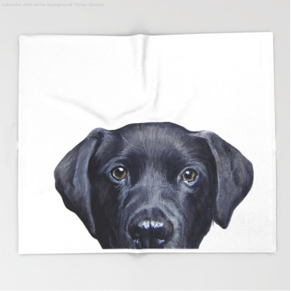 拉布拉多獵犬黑色，蓬鬆的大號毯子 第1張的照片