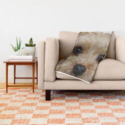 約克夏犬，蓬鬆的大號毯子 第2張的照片