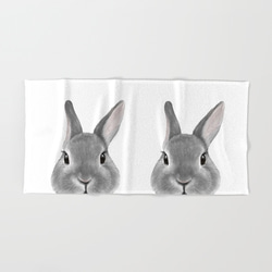 荷蘭兔，灰色，浴巾 第1張的照片