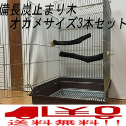 備長炭止まり木 オカメインコサイズ 3本セット 送料込み