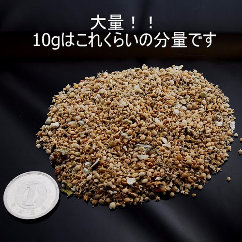 星の砂 10g 星砂 レジンパーツ 材料 ほしずな ほしすな レジン・樹脂